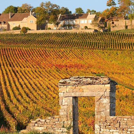 Le Nid Bourguignon Hotel Chalon-sur-Saône Kültér fotó